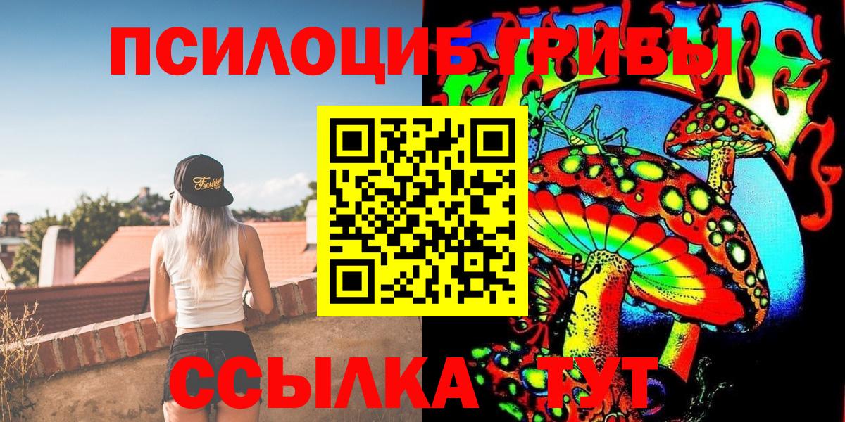 Дзержинский  Галлюциногенные грибы Psilocybine cubensis  Вход с VPN 