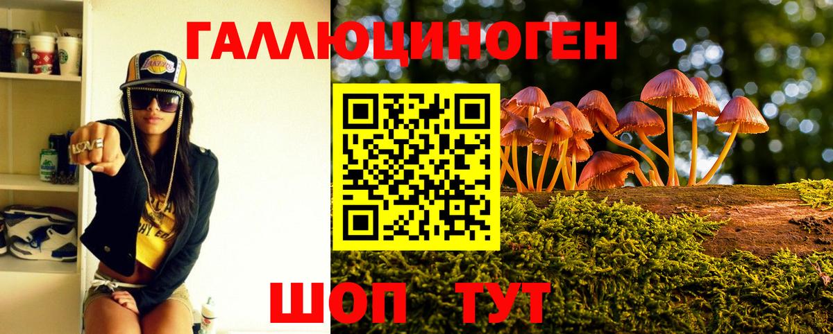 Псилоцибиновые грибы Cubensis Дзержинский